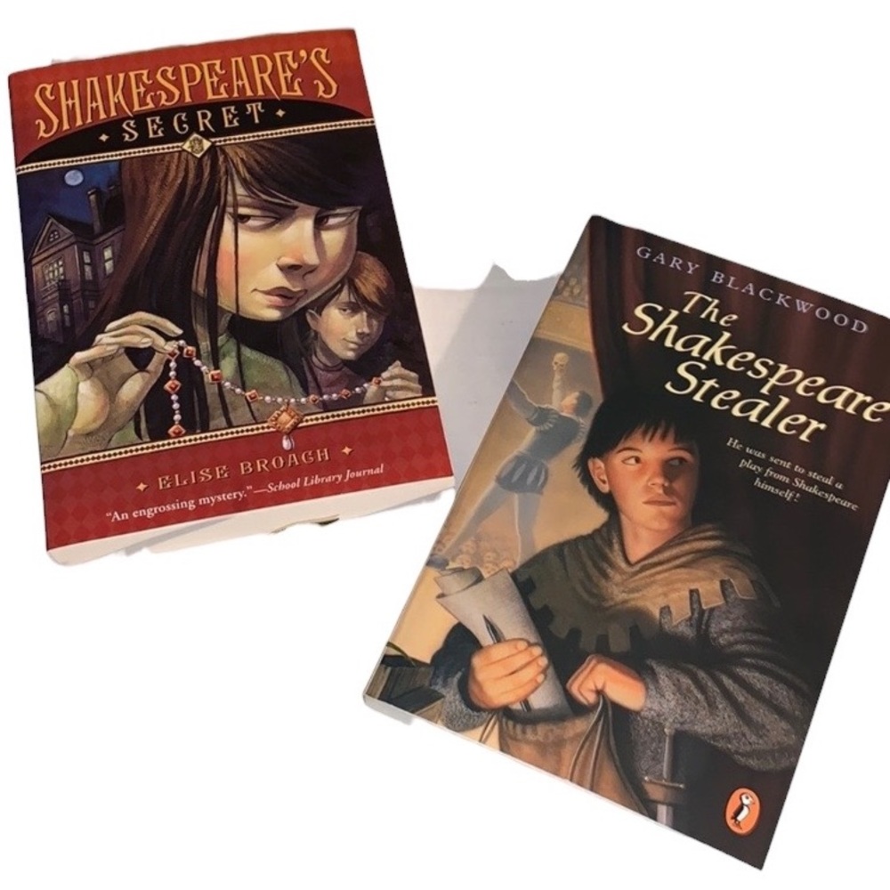 Set of 2 mystery novels NWOT